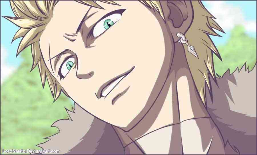 Fairy Tail Chapter 266 - halaman 22