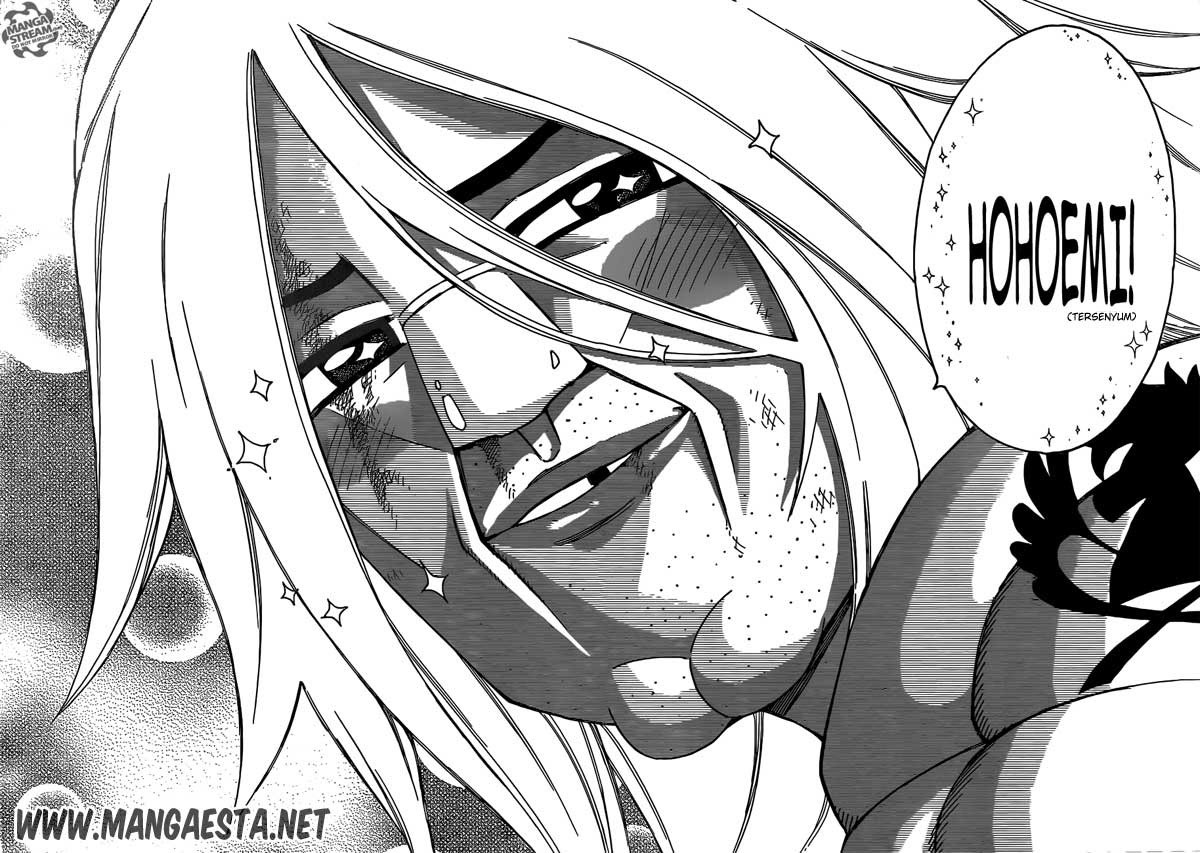 Fairy Tail Chapter 293 - halaman 11