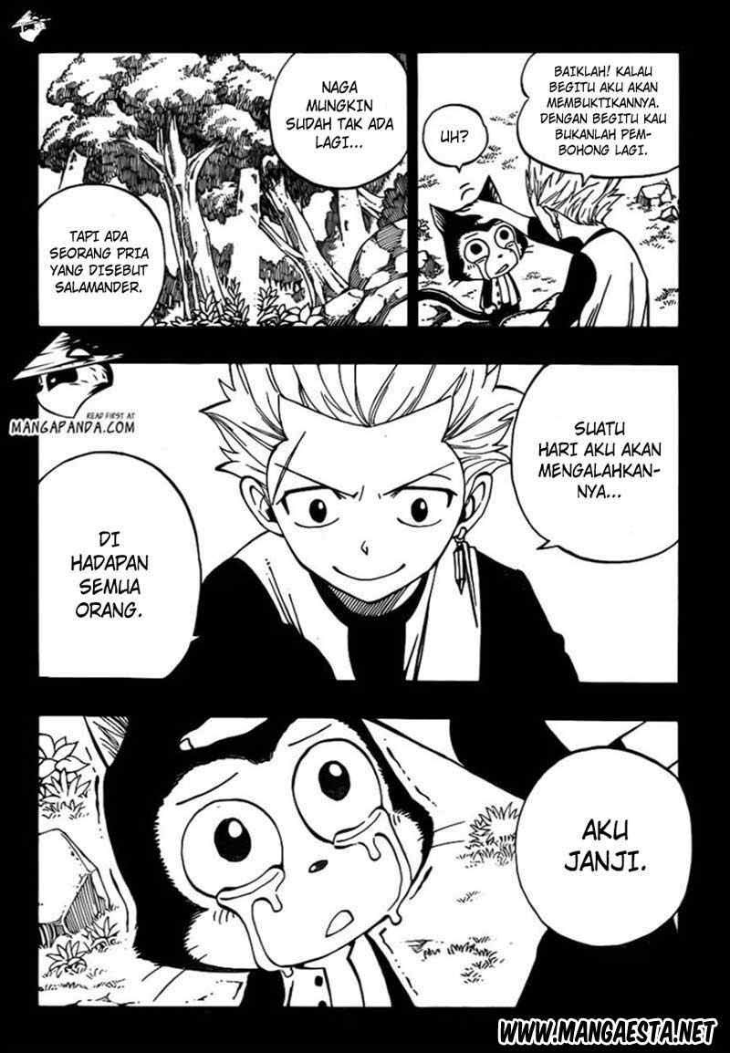 Fairy Tail Chapter 295 - halaman 21