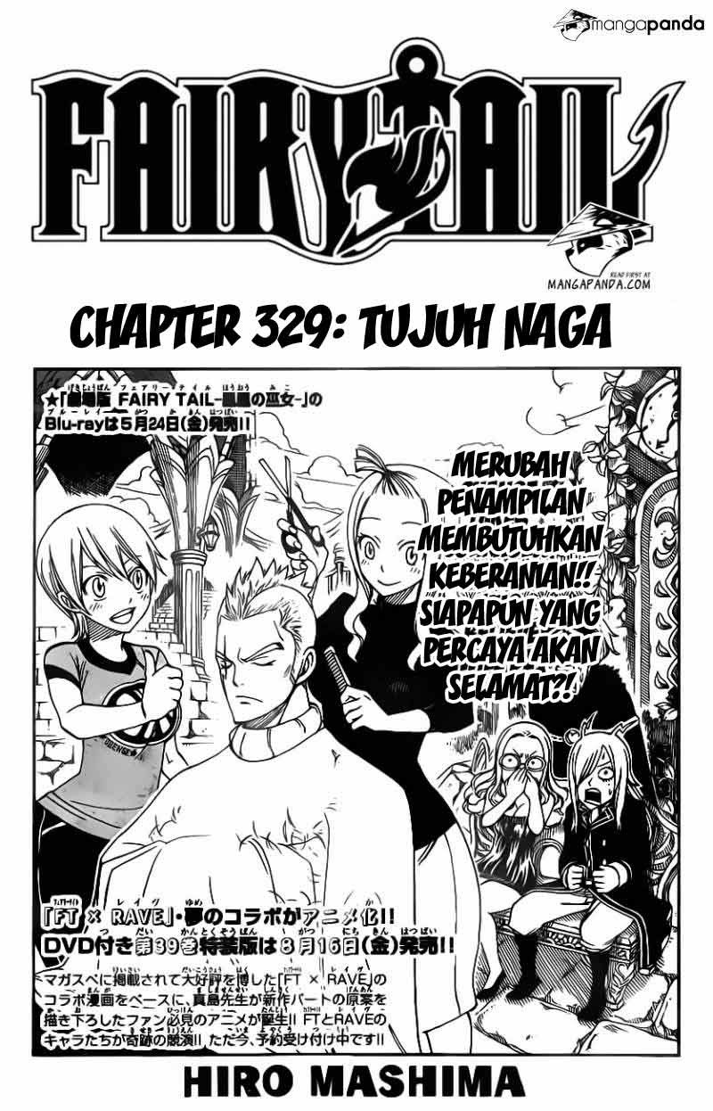 Fairy Tail Chapter 329 - halaman 2