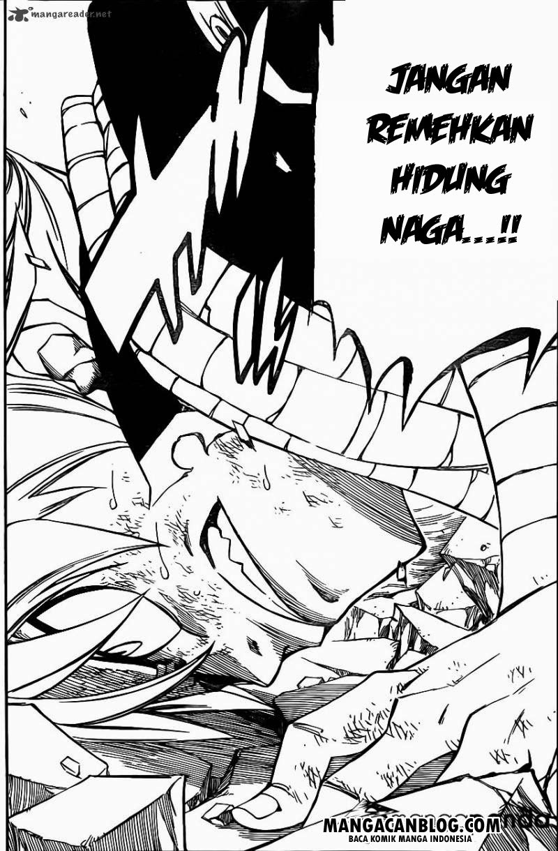 Fairy Tail Chapter 365 - halaman 10