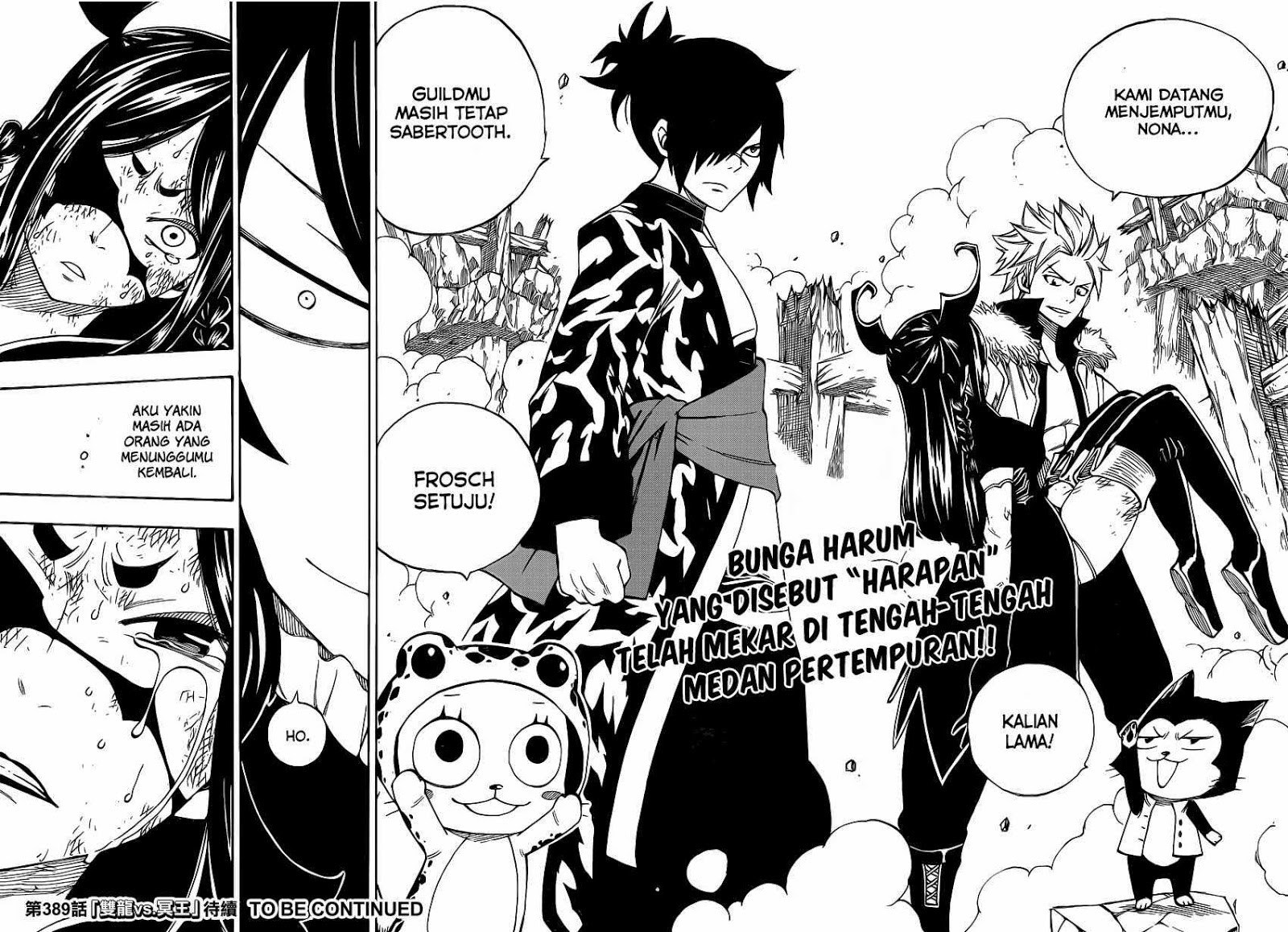 Fairy Tail Chapter 388 - halaman 19