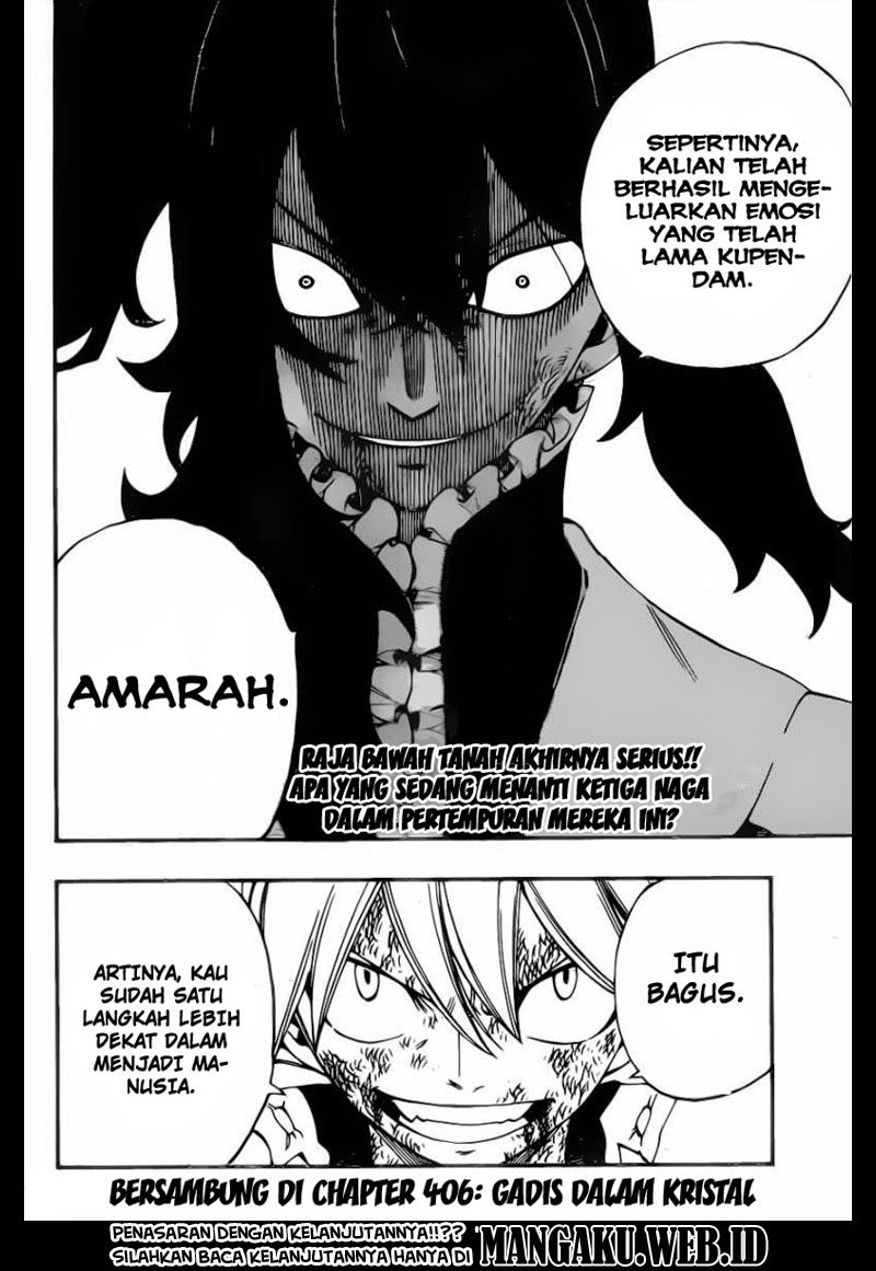 Fairy Tail Chapter 405 - halaman 19