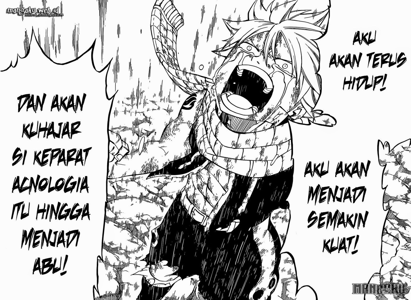 Fairy Tail Chapter 415 - halaman 20