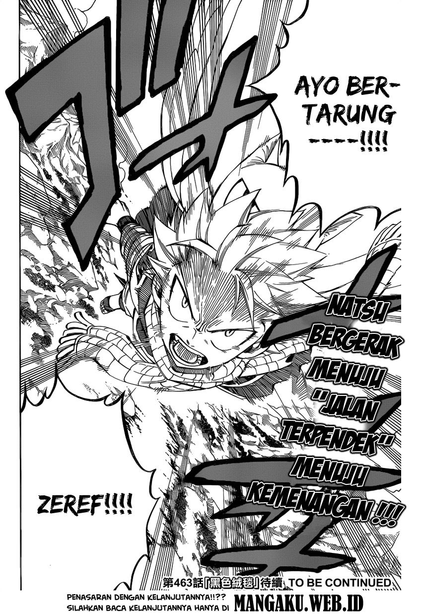 Fairy Tail Chapter 462 - halaman 20