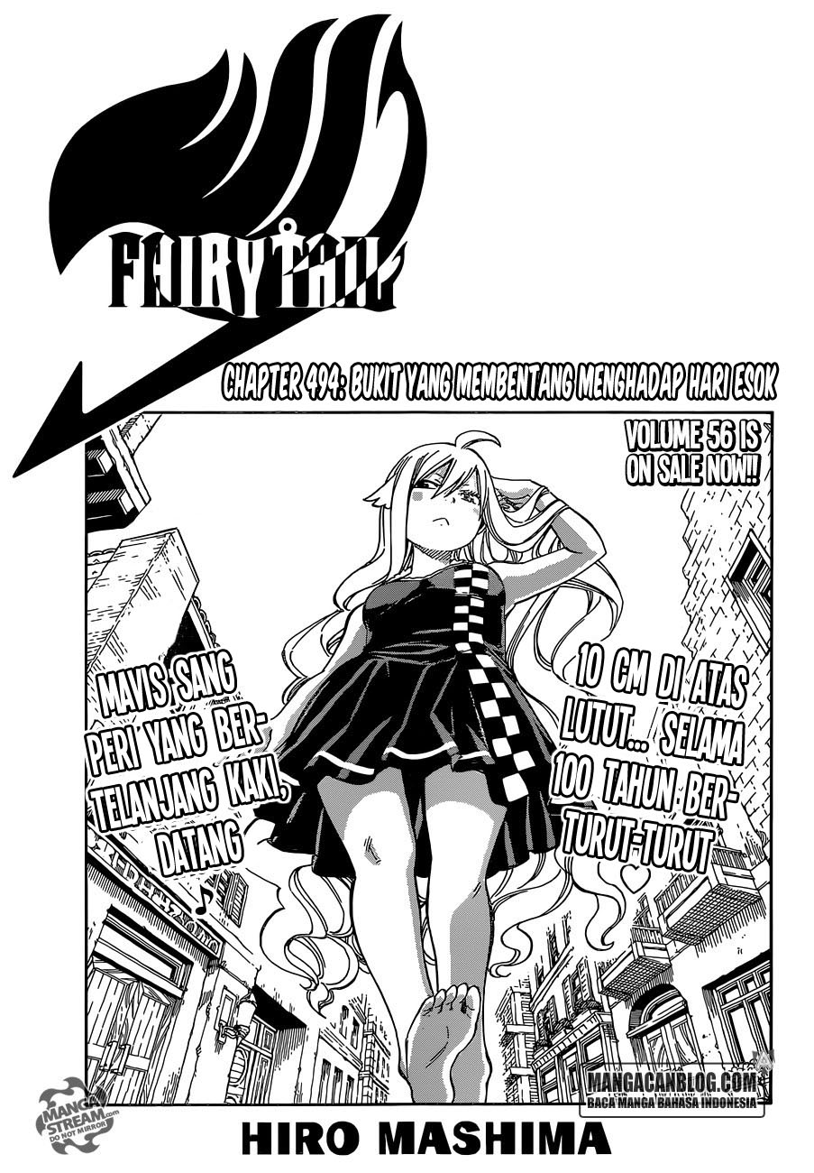 Fairy Tail Chapter 494 - halaman 2