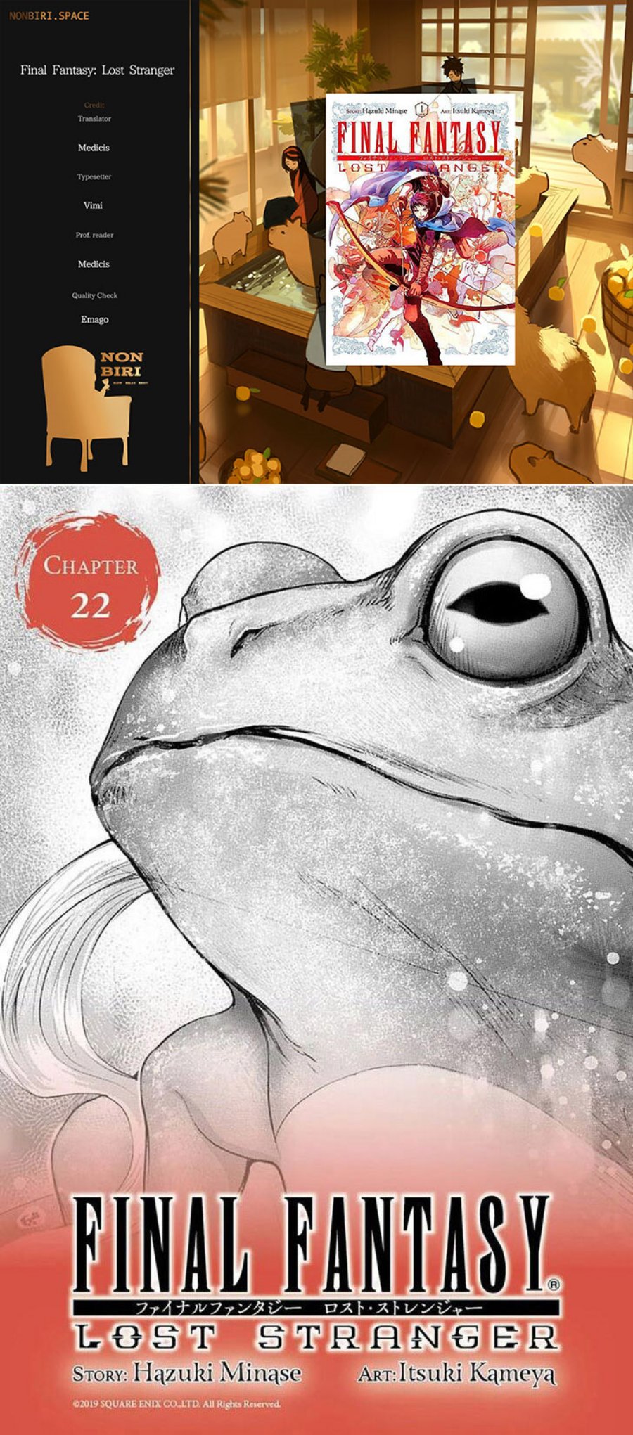 Final Fantasy: Lost Stranger Chapter 22 - halaman 1
