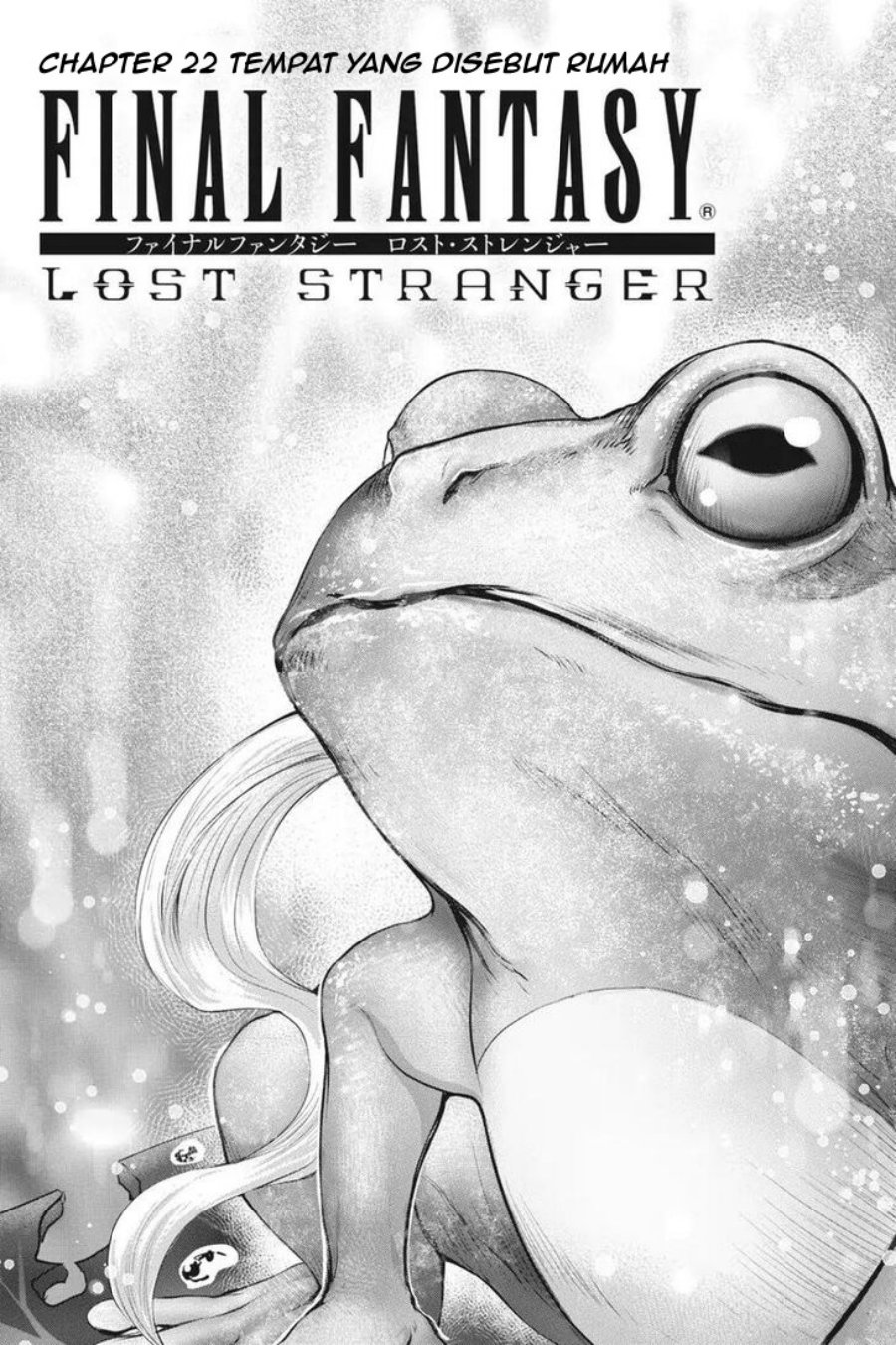Final Fantasy: Lost Stranger Chapter 22 - halaman 2