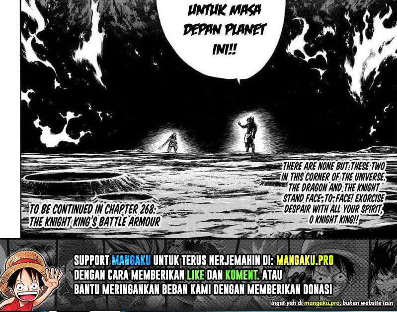 Fire Brigade of Flames Chapter 267 - halaman 19
