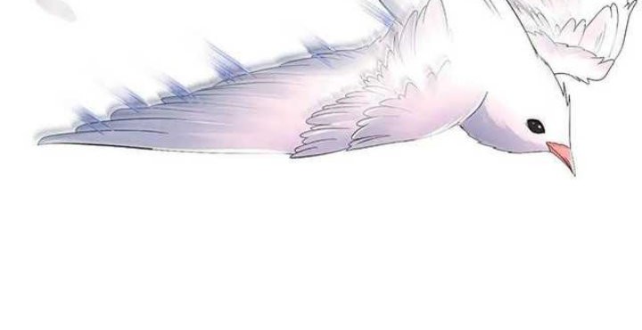 Forced To Become the Villain’s Son-in-law Chapter 185 - halaman 12