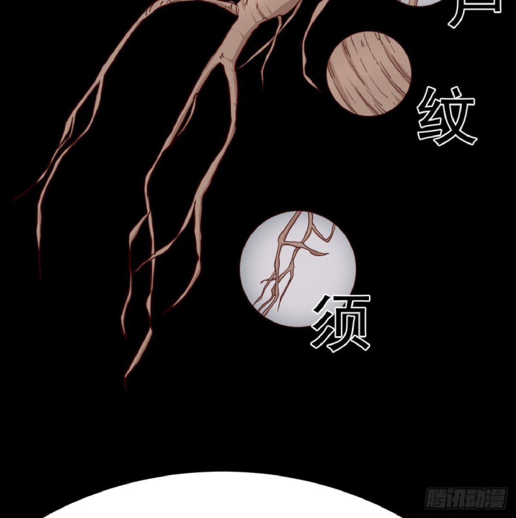 Full-level Peach Blossom Acupuncturist Chapter 9 - halaman 5