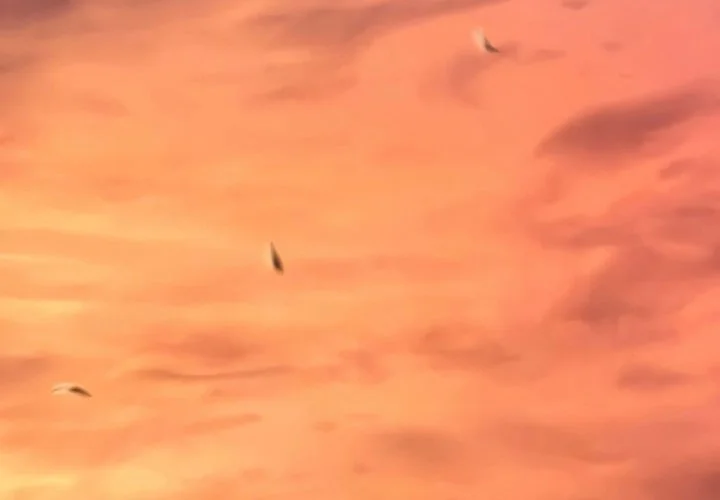 Grim Reaper of the Drifting Moon Chapter 94 - halaman 36