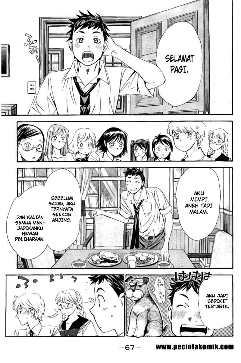 Hachi Ichi Chapter 80 - halaman 16