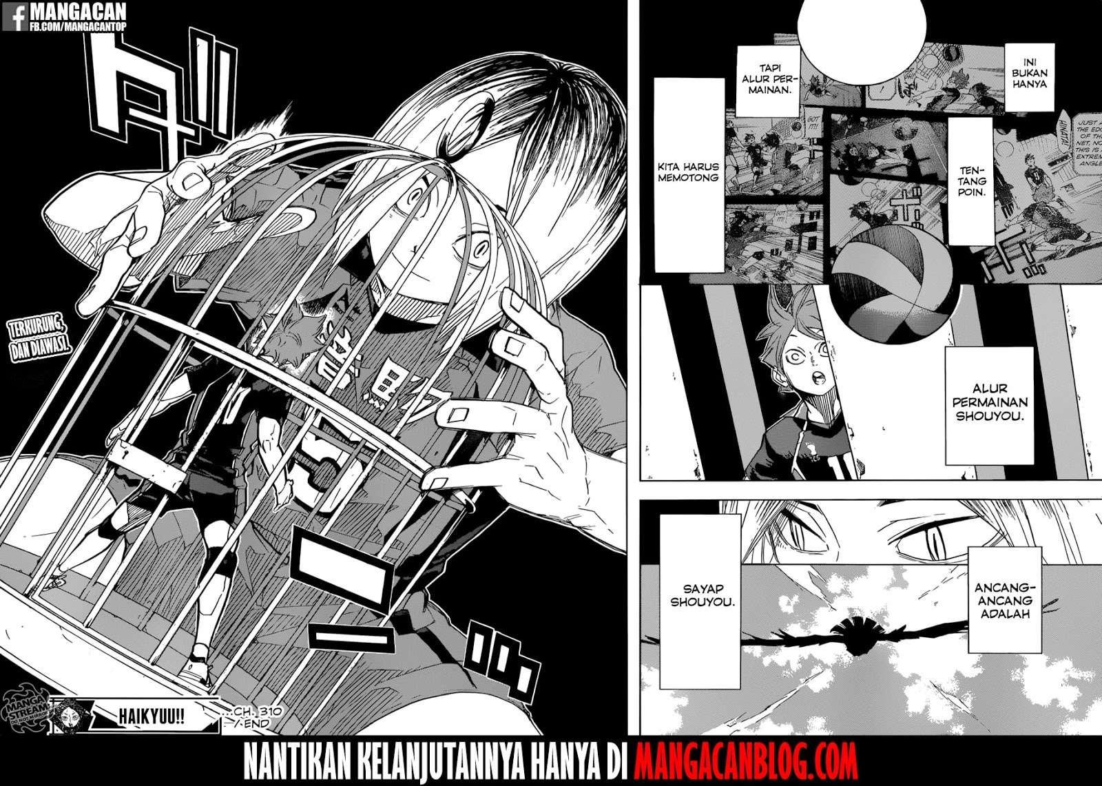Haikyuu!! Chapter 310 - halaman 17