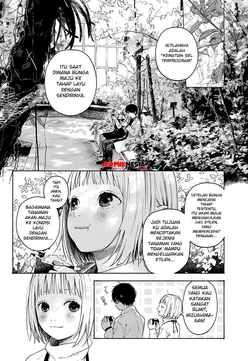 Hana wa Shinitagaru Chapter 0.1 - halaman 27