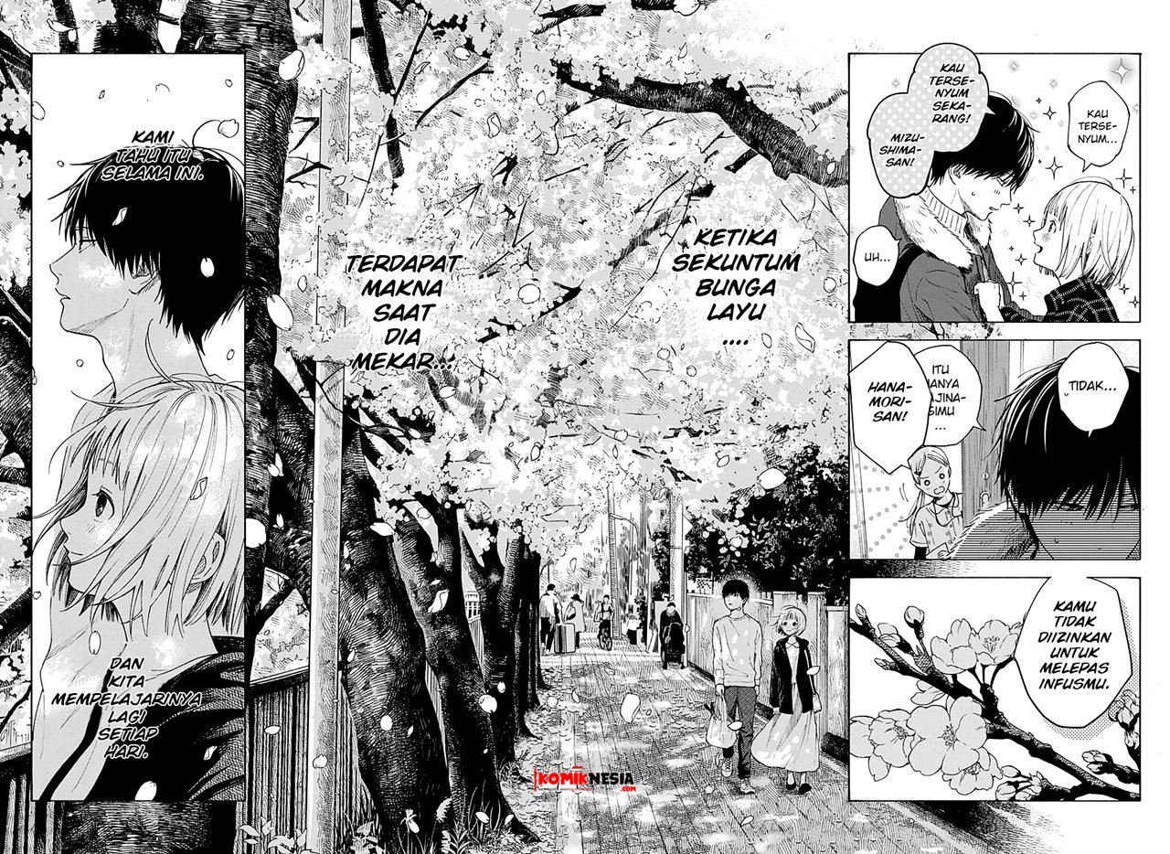 Hana wa Shinitagaru Chapter 0.1 - halaman 51