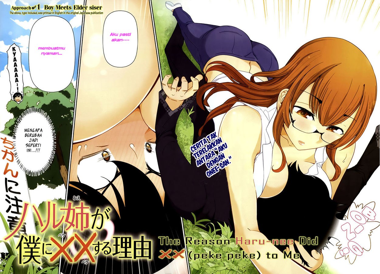 Haru-nee ga Boku ni xx Suru Riyuu Chapter 1 - halaman 3