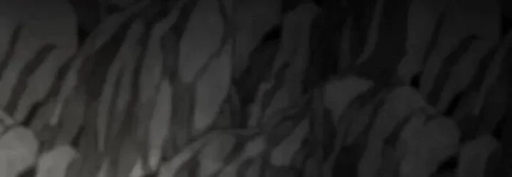 Heavenly Demon Cultivation Simulation Chapter 158 - halaman 65