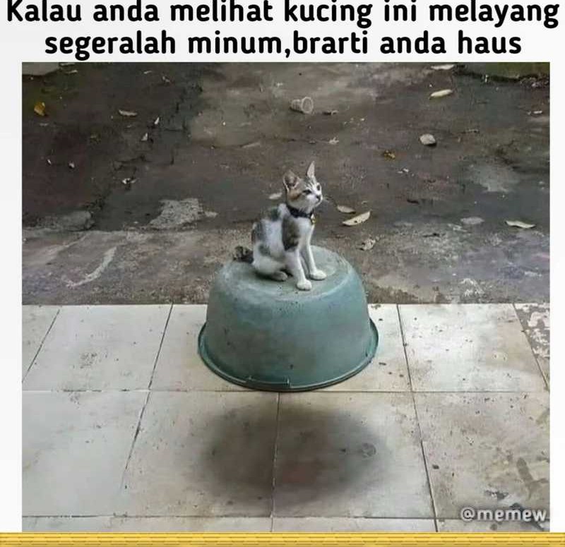 Heavenly Demon Wants to Be a Chef Chapter 32 - halaman 107