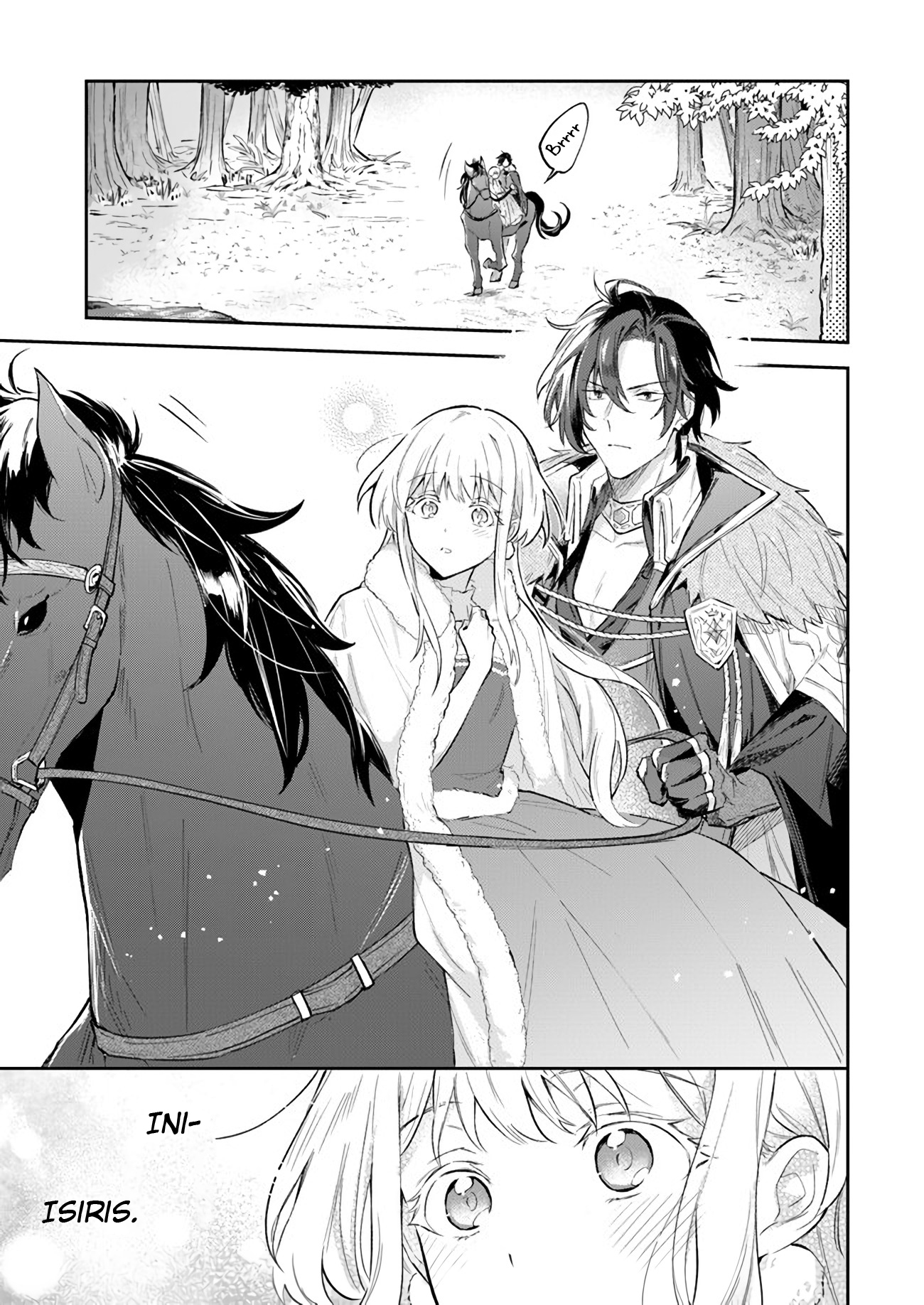 Heika, Kokoro no Koe ga Dadamore desu! Chapter 2 - halaman 16