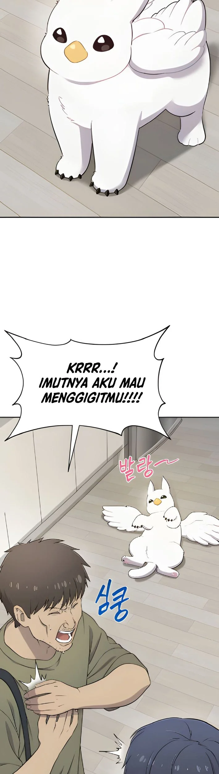 Hello, Fluffy Griffin! Chapter 3 - halaman 18