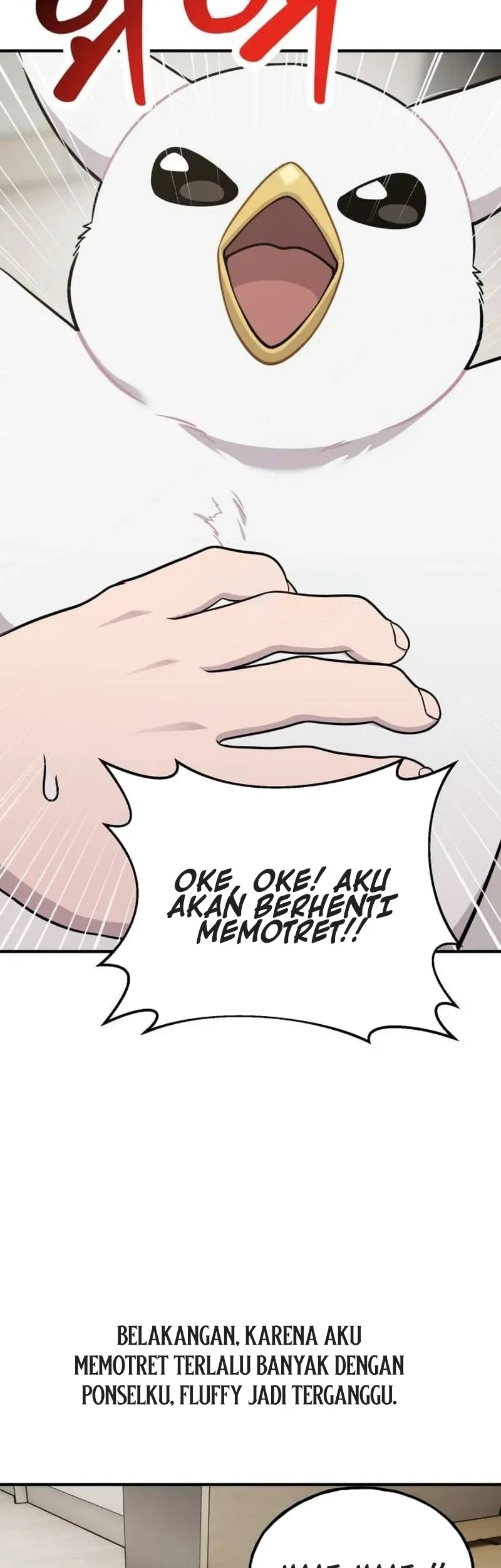 Hello, Fluffy Griffin! Chapter 32 - halaman 4