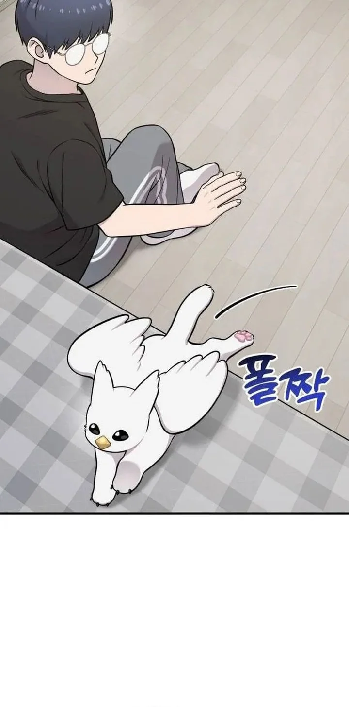 Hello, Fluffy Griffin! Chapter 34 - halaman 12