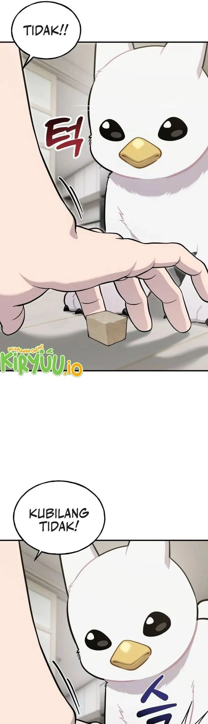 Hello, Fluffy Griffin! Chapter 34 - halaman 5