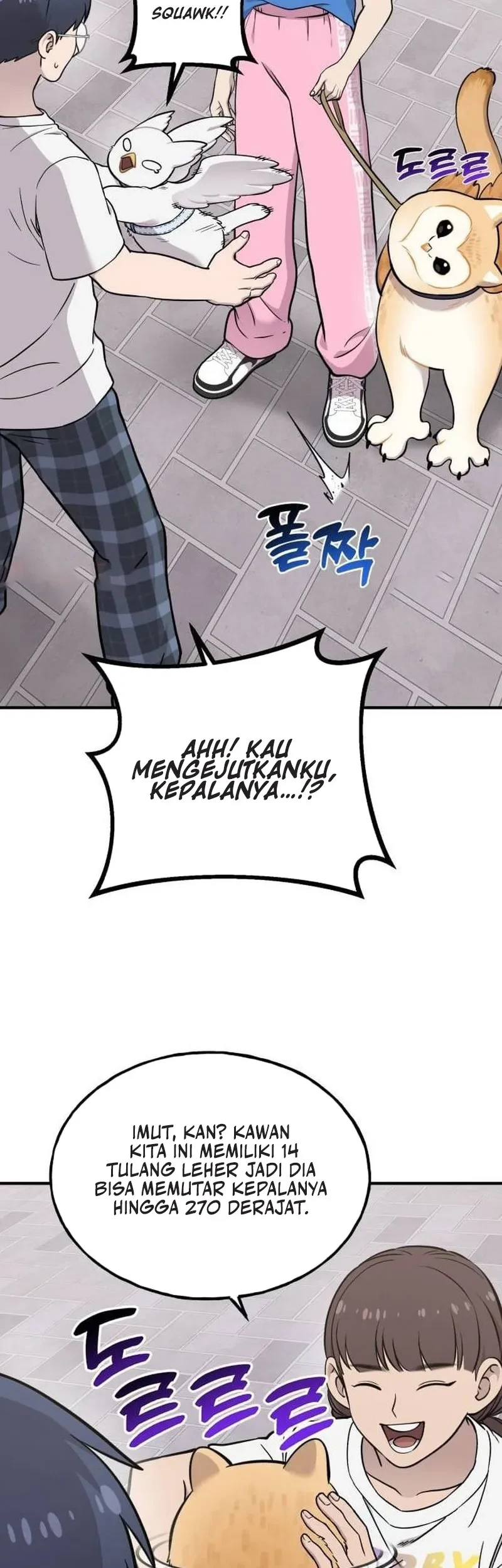 Hello, Fluffy Griffin! Chapter 35 - halaman 27