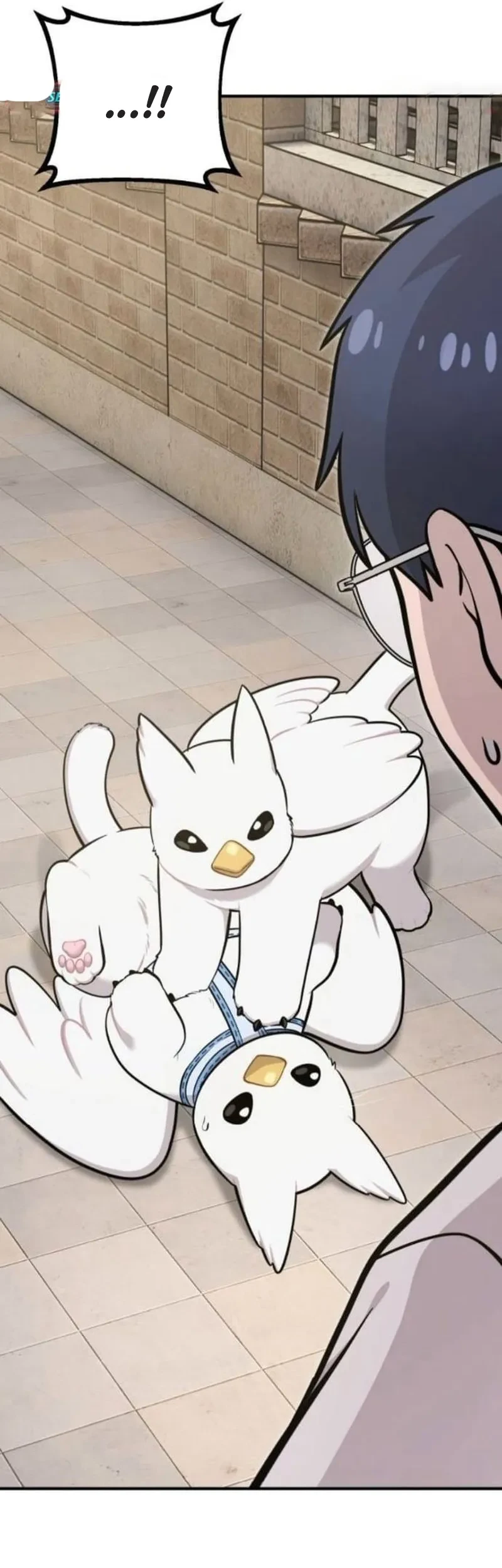 Hello, Fluffy Griffin! Chapter 36 - halaman 28