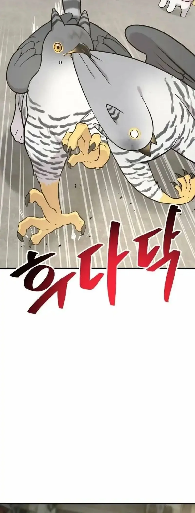 Hello, Fluffy Griffin! Chapter 39 - halaman 48