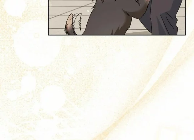 Hello? Veterinarian! Chapter 104 - halaman 49