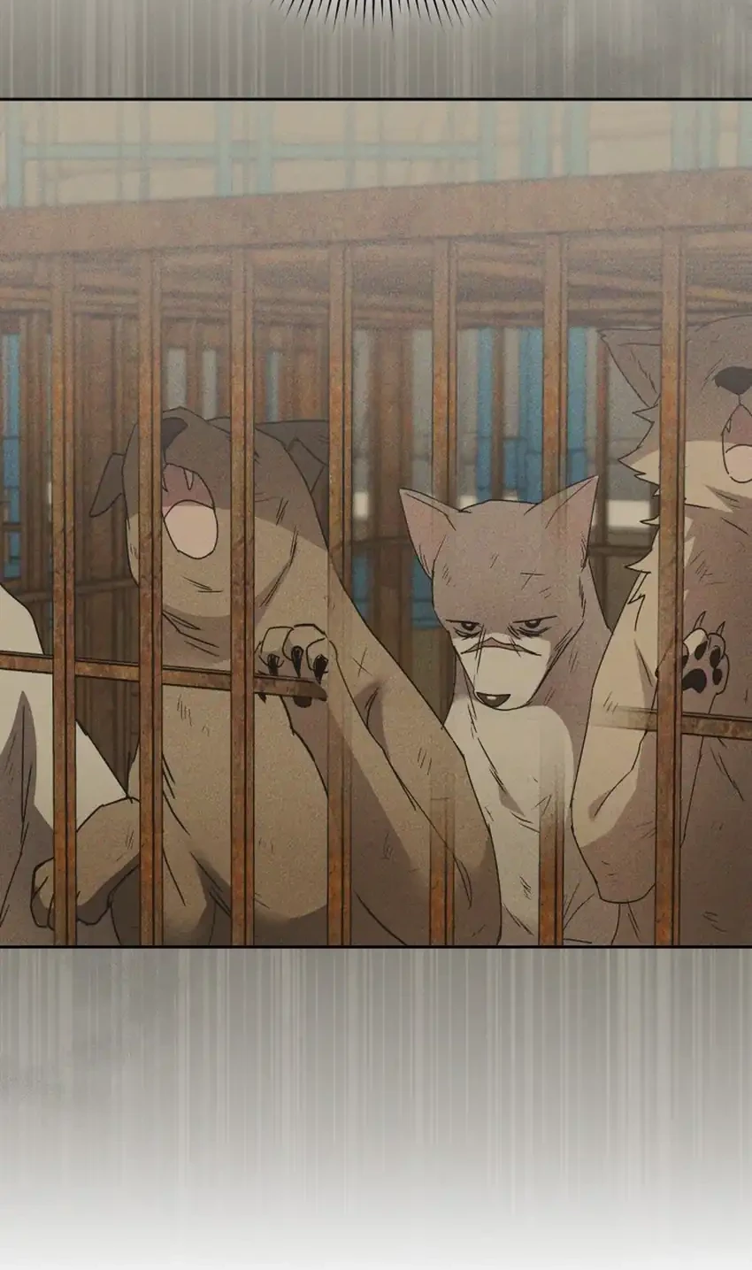 Hello? Veterinarian! Chapter 116 - halaman 18