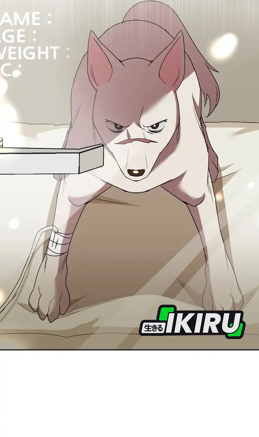 Hello? Veterinarian! Chapter 116 - halaman 20