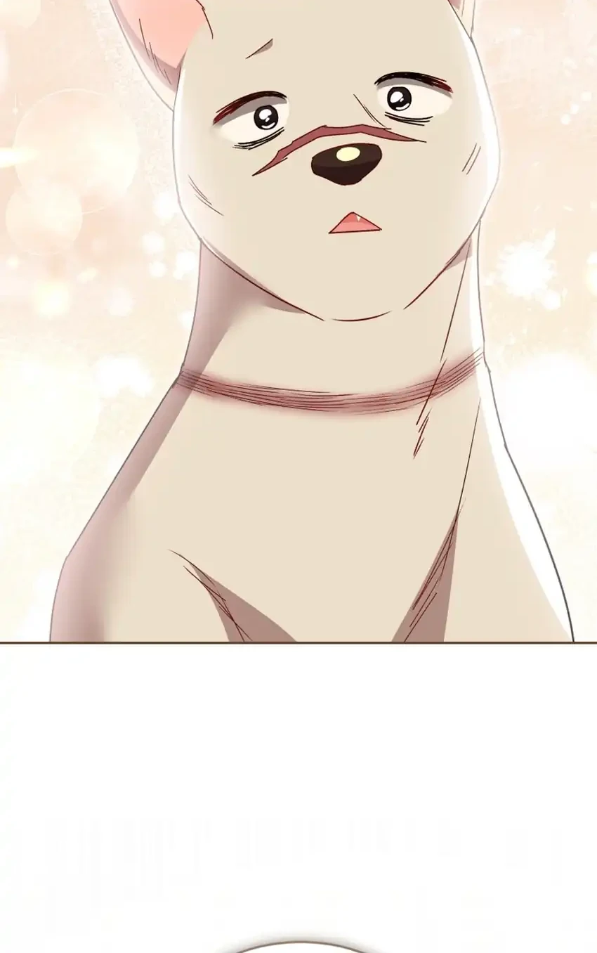 Hello? Veterinarian! Chapter 116 - halaman 38