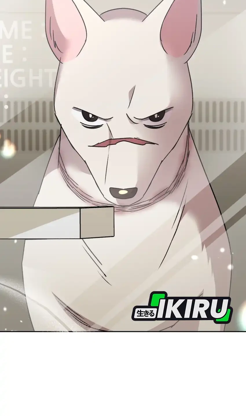 Hello? Veterinarian! Chapter 116 - halaman 58