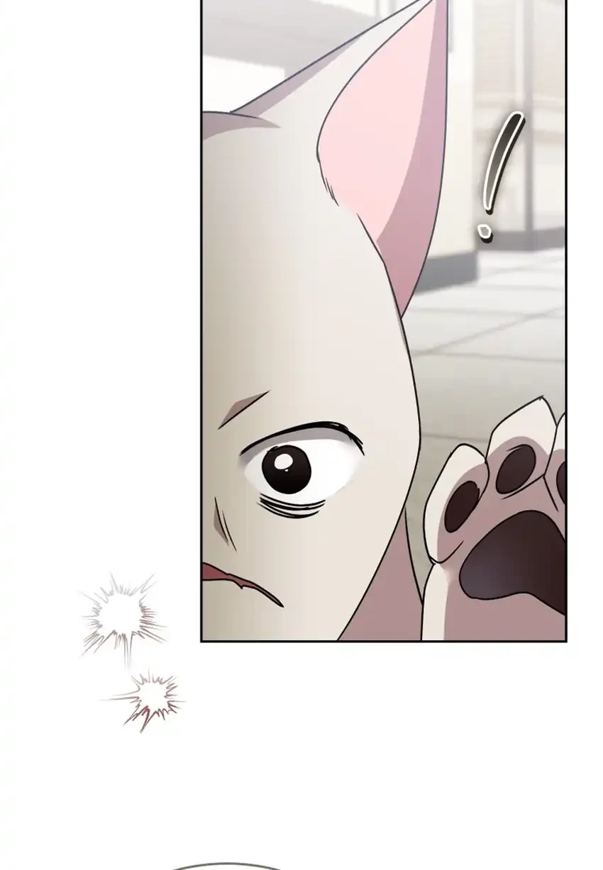 Hello? Veterinarian! Chapter 117 - halaman 28