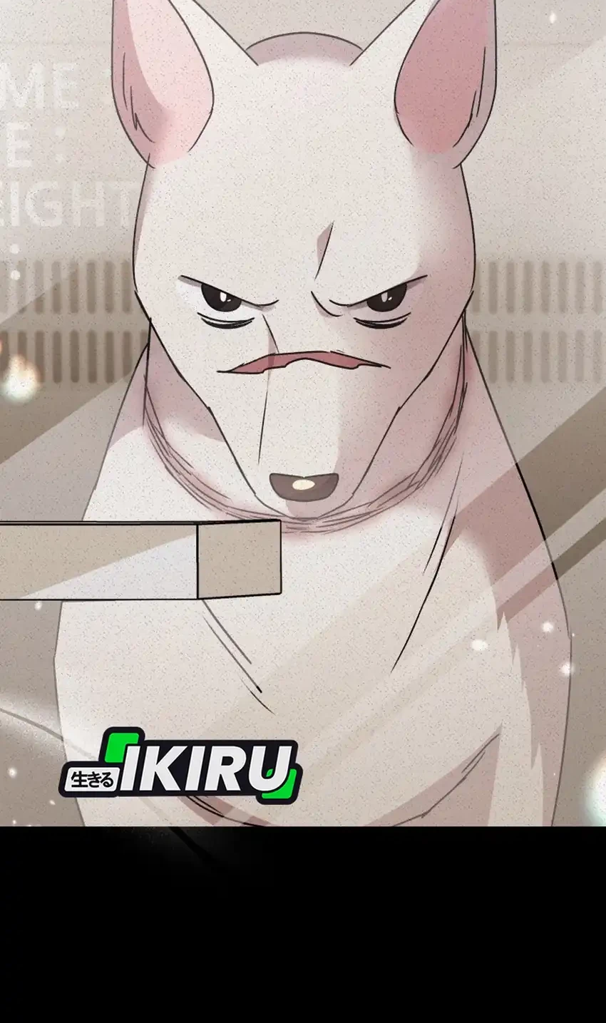 Hello? Veterinarian! Chapter 117 - halaman 7