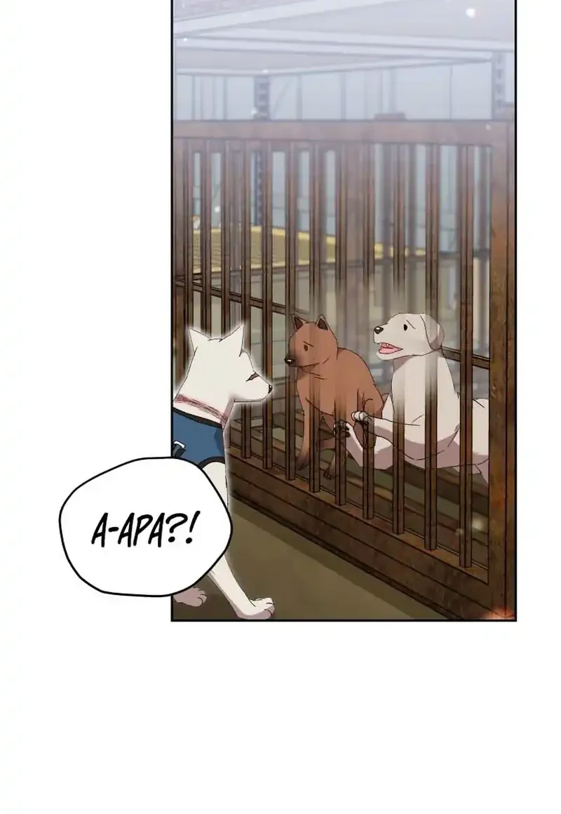 Hello? Veterinarian! Chapter 118 - halaman 26