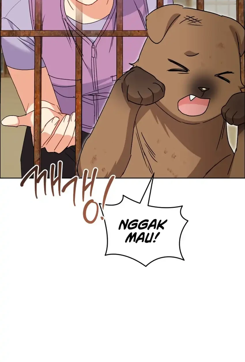Hello? Veterinarian! Chapter 119 - halaman 41