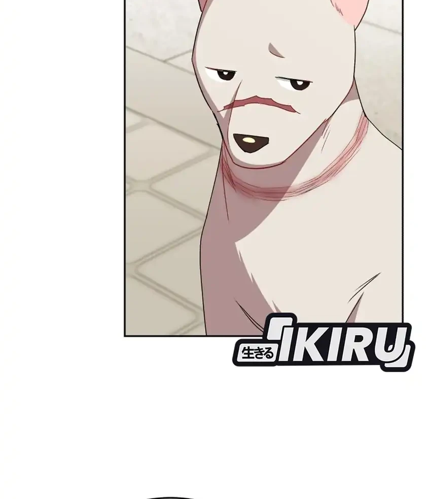 Hello? Veterinarian! Chapter 120 - halaman 19