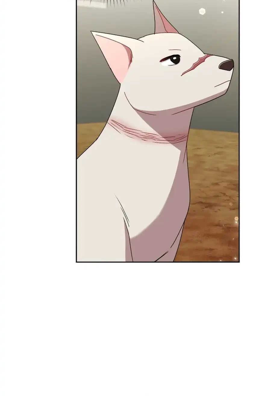 Hello? Veterinarian! Chapter 121 - halaman 54