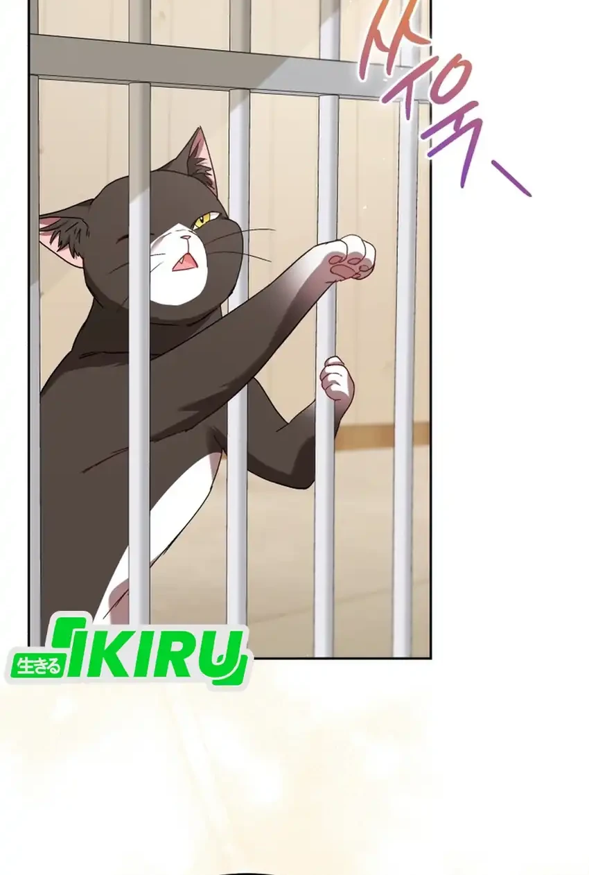 Hello? Veterinarian! Chapter 126 - halaman 28