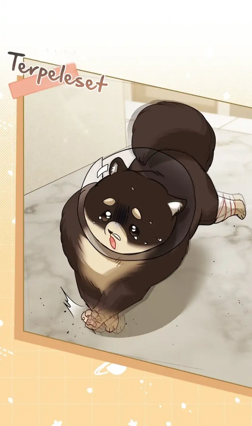 Hello? Veterinarian! Chapter 128 - halaman 17