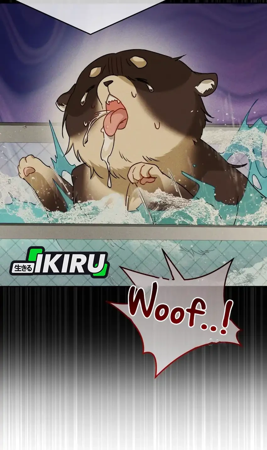 Hello? Veterinarian! Chapter 128 - halaman 28