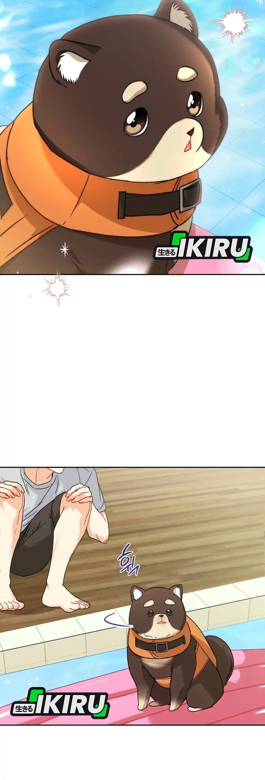 Hello? Veterinarian! Chapter 130 - halaman 41