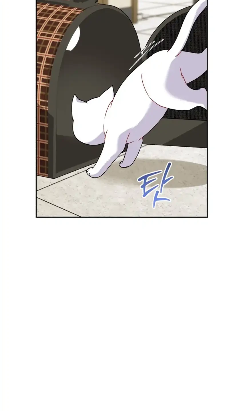 Hello? Veterinarian! Chapter 136 - halaman 42