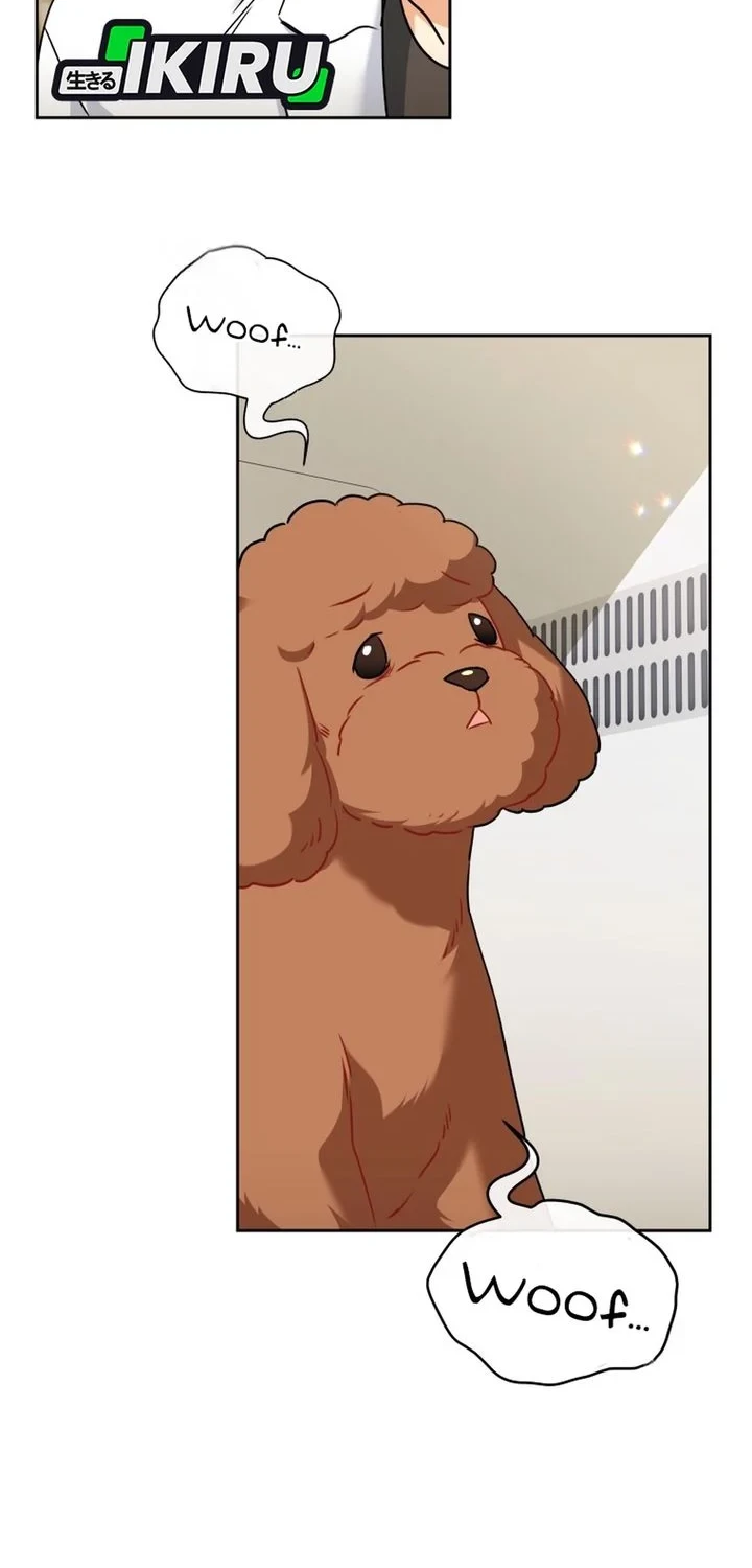 Hello? Veterinarian! Chapter 139 - halaman 10