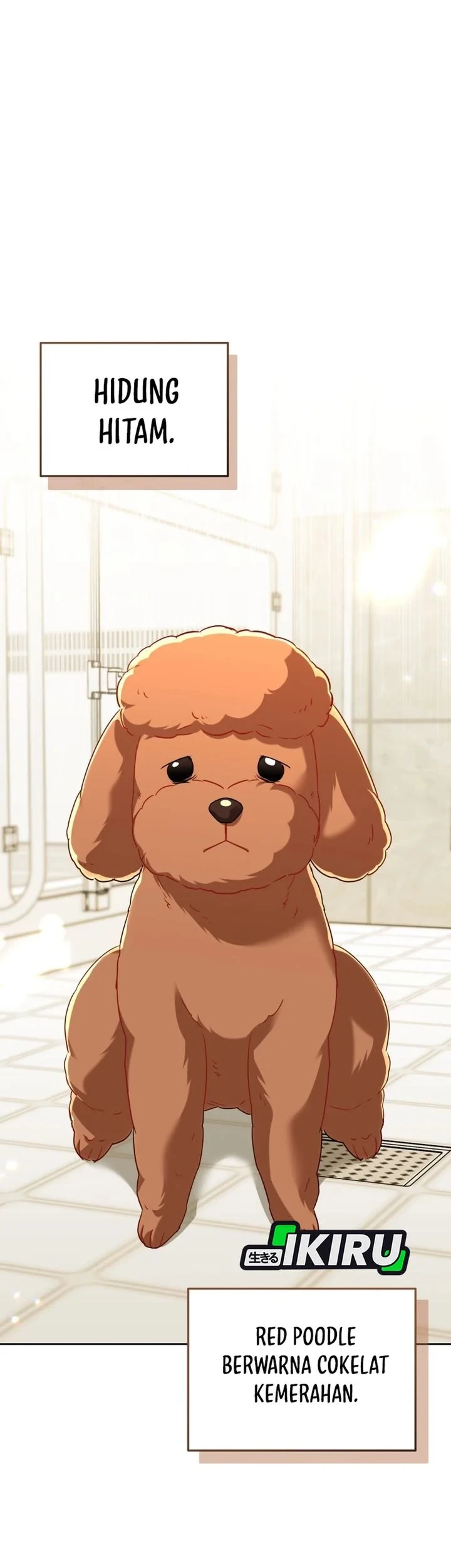 Hello? Veterinarian! Chapter 139 - halaman 20