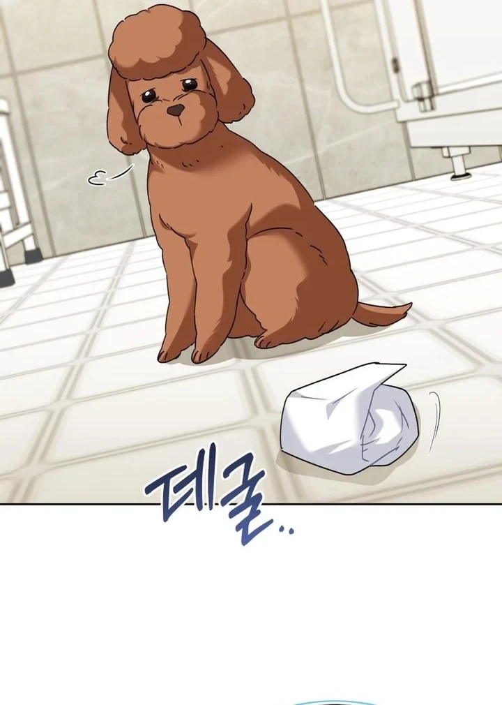 Hello? Veterinarian! Chapter 139 - halaman 27